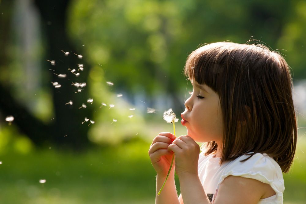 child blowing on a flower.